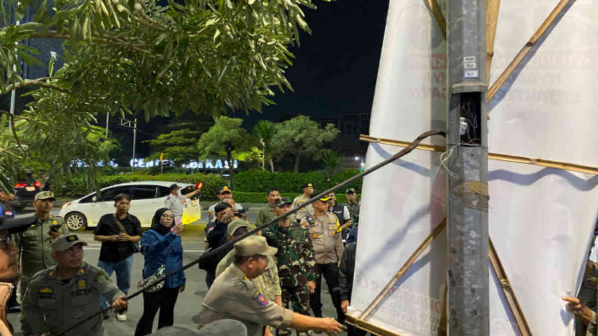 Get to know the term campaign calm period